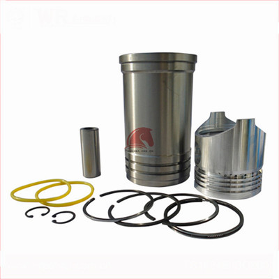 ZS1110 Liner Piston Kit